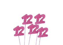 סטיק מספר 12 בת מצווה - ורוד